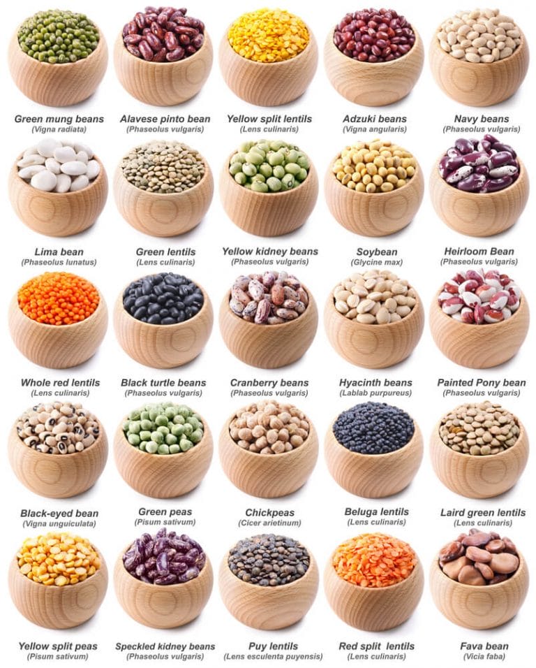 Variety of beans and legumes